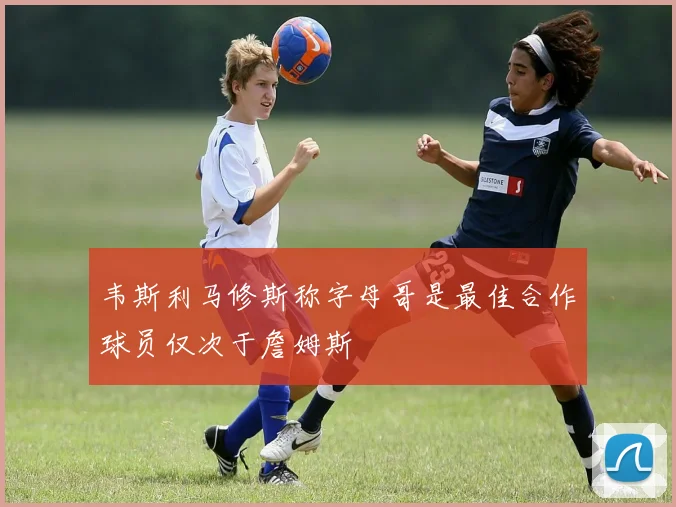 韦斯利马修斯称字母哥是最佳合作球员仅次于詹姆斯