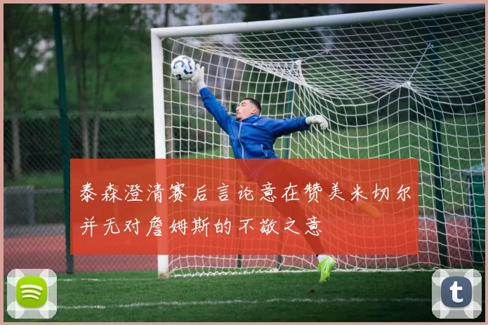 泰森澄清赛后言论意在赞美米切尔并无对詹姆斯的不敬之意