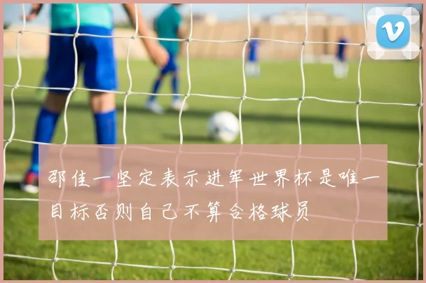 邵佳一坚定表示进军世界杯是唯一目标否则自己不算合格球员