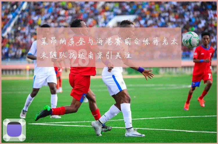 莱昂纳多参与海港赛前合练蒋光太未随队抵达南京引关注