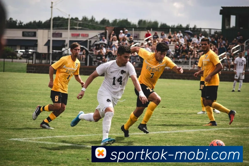 KOK体育服务体系